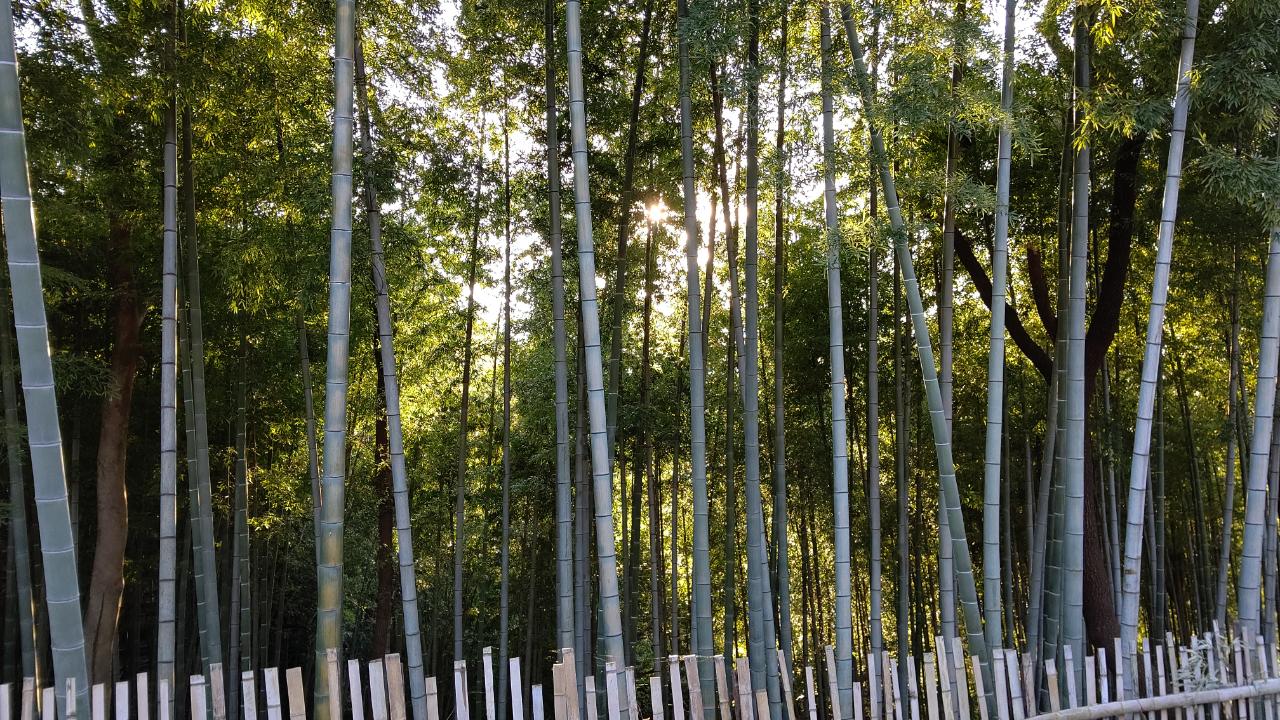 令和4年ー5年冬