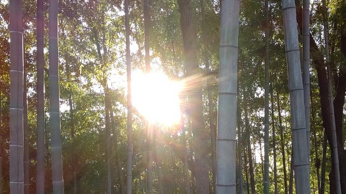 丙午令和八年新春